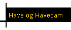 Have og Havedam