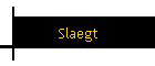 Slaegt